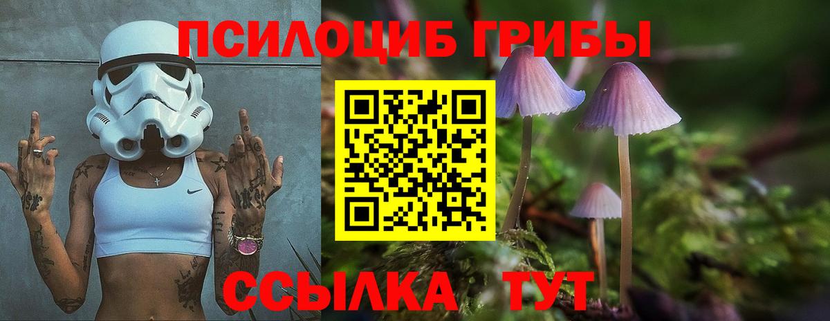 Псилоцибиновые грибы GOLDEN TEACHER Горно-Алтайск