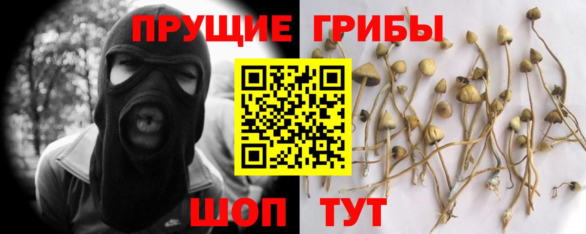 Горно-Алтайск  Псилоцибиновые грибы ЛСД  Вход с VPN 