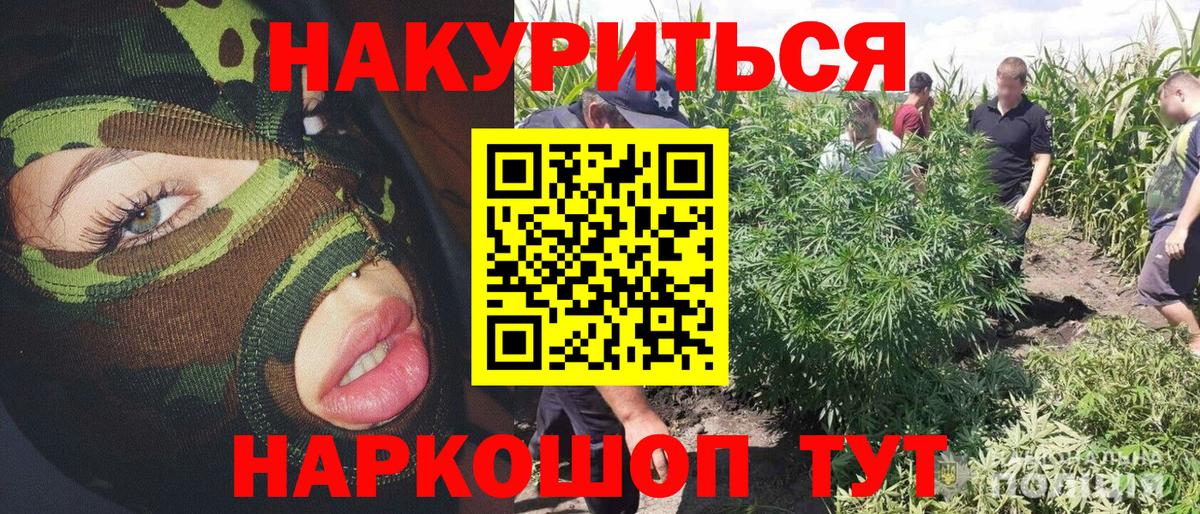 Бошки Шишки конопля Горно-Алтайск